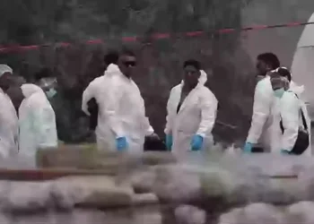 საზღვარზე, იდუმალ ადგილას, თითქმის 400 გვამი იპოვეს – რას ამბობს პოლიცია