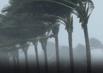 წვიმა, ძლიერი ქარი, სეტყვა – ამინდი მკვეთრად იცვლება