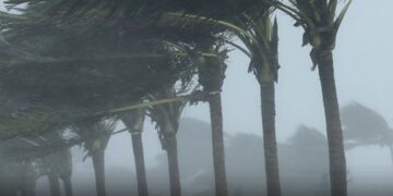 წვიმა, ძლიერი ქარი, სეტყვა – ამინდი მკვეთრად იცვლება