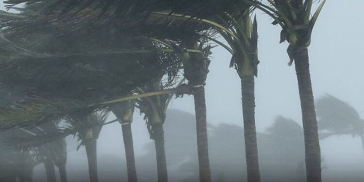 წვიმა, ძლიერი ქარი, სეტყვა – ამინდი მკვეთრად იცვლება