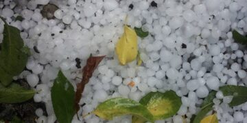 ,,ძლიერი წვიმა და ელჭექი” – ცნობილია, როდემდე გაგრძელდება უამინდობა