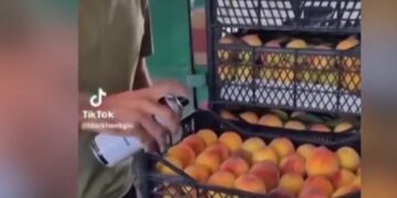 არის თუ არა უსაფრთხო ატამი, რომელსაც ვჭამთ? – ცნობილი ვიდეოს შემდეგ, სურსათის სააგენტო ლაბორატორიული კვლევის შედეგებს ავრცელებს