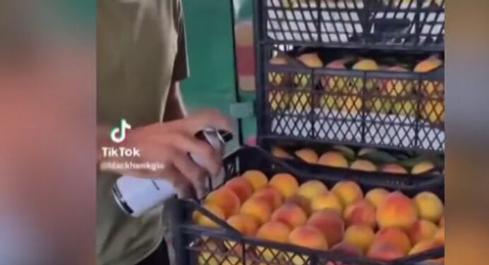 არის თუ არა უსაფრთხო ატამი, რომელსაც ვჭამთ? – ცნობილი ვიდეოს შემდეგ, სურსათის სააგენტო ლაბორატორიული კვლევის შედეგებს ავრცელებს