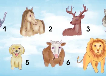 აირჩიეთ 2 ცხოველი და ტაროს კარტი გეტყვით, რა გელით 2025 წლის მეორე ნახევარში