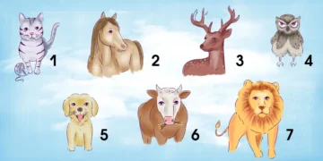 აირჩიეთ 2 ცხოველი და ტაროს კარტი გეტყვით, რა გელით 2025 წლის მეორე ნახევარში