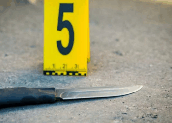 კაცმა საკუთარ დას ჯერ მანქანა დააჯახა, შემდეგ კი დანით ჭრილობები მიაყენა – გარდაბანში მომხდარი სასტიკი მკვლელობის დეტალები