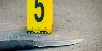 კაცმა საკუთარ დას ჯერ მანქანა დააჯახა, შემდეგ კი დანით ჭრილობები მიაყენა – გარდაბანში მომხდარი სასტიკი მკვლელობის დეტალები