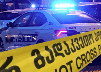 რაჭაში ნათესავებმა 60 წლამდე კაცი შეშის ნაჭრით მოკლეს – რა დეტალებია ცნობილი?