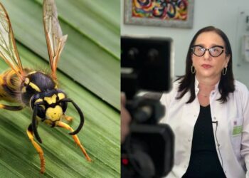 ,,ნუ აკეთებთ ამას” – ექიმის გაფრთხილება მას შემდეგ, რაც კრაზანას ნაკბენით გამიწვეული ანაფილაქსიური შოკით ახალგაზრდა დაიღუპა