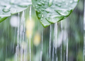 წვიმა ელჭექით, სეტყვა და შტორმული ღელვა – მომდევნო დღეების ამინდის პროგნოზი