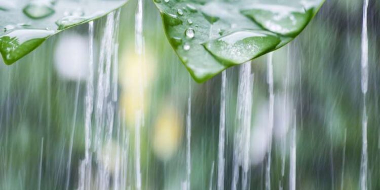 წვიმა ელჭექით, სეტყვა და შტორმული ღელვა – მომდევნო დღეების ამინდის პროგნოზი