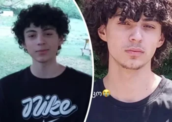 სა­ვა­რა­უ­დოდ გა­გუ­დუ­ლია – ვინ არის გორში მოკლული ბიჭი?