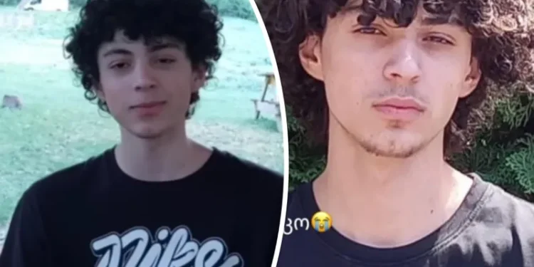 სა­ვა­რა­უ­დოდ გა­გუ­დუ­ლია – ვინ არის გორში მოკლული ბიჭი?