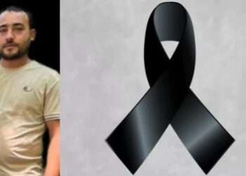 ფუტკრის ნაკბენმა ახალგაზრდა კაცი იმსხვერპლა