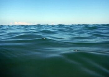 სკოლის ექსკურსიის დროს, ექვსი მოსწავლე დაიხრჩო და 24 დაშავდა (უცხოეთი)