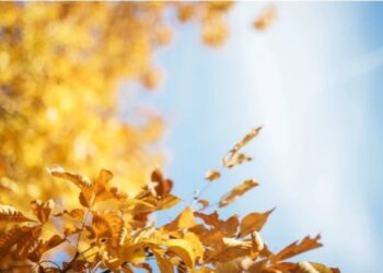 ცნობილია, როდიდან გამოიდარებს საქართველოში – ამინდის პროგნოზი