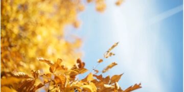 ცნობილია, როდიდან გამოიდარებს საქართველოში – ამინდის პროგნოზი