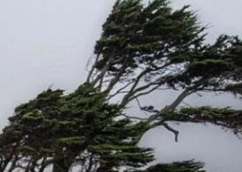 „შესაძლებელია, ქარის სიჩქარემ 25 – 28 მ/წმ-ს მიაღწიოს…“ – გარემოს სააგენტო მოსახლეობას აფრთხილებს