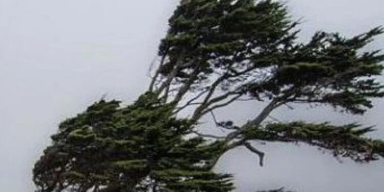 „შესაძლებელია, ქარის სიჩქარემ 25 – 28 მ/წმ-ს მიაღწიოს…“ – გარემოს სააგენტო მოსახლეობას აფრთხილებს