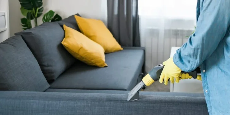 რბილი ავეჯის ქიმწმენდა