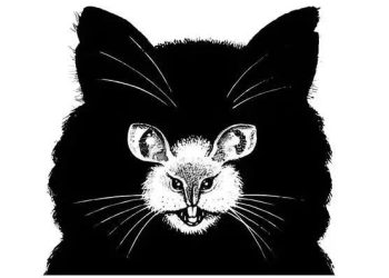 რა დაინახეთ სურათზე პირველი? – ოპტიკური ილუზია, რომელიც გეტყვით, რა ფარული შიში გაქვთ