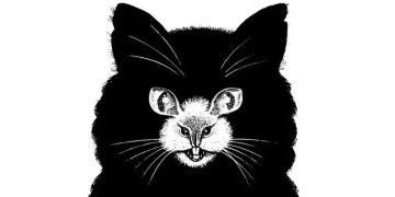 რა დაინახეთ სურათზე პირველი? – ოპტიკური ილუზია, რომელიც გეტყვით, რა ფარული შიში გაქვთ