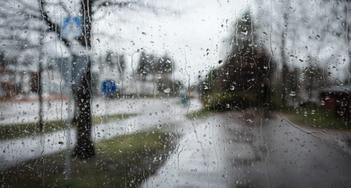 როგორი ამინდი იქნება 7 მარტის ჩათვლით? – განახლებული პროგნოზი