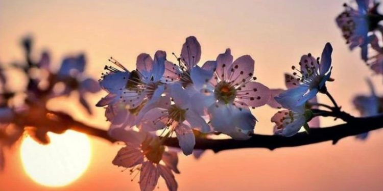 20 მარტს გაზაფხულის ბუნიობაა – რა უნდა გააკეთოთ ამ დღეს, რომ წარმატება და იღბალი მოიზიდოთ