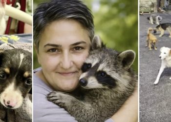 ,,სესხით ააშენა თავშესაფარი…უამრავ ძაღლს აპურებდა ტრასაზე…“ – ავარიაში დაღუპული ქალი ენოტი “ცაცუნას” პატრონი იყო