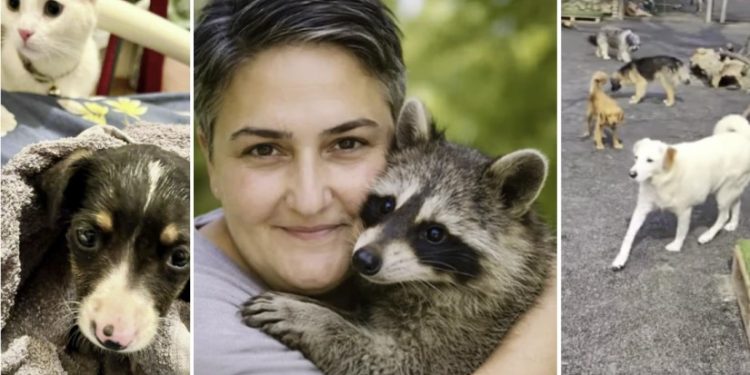 ,,სესხით ააშენა თავშესაფარი…უამრავ ძაღლს აპურებდა ტრასაზე…“ – ავარიაში დაღუპული ქალი ენოტი “ცაცუნას” პატრონი იყო