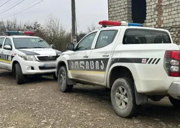 23 წლის ბიჭმა მეზობელი მოკლა – ,,სავარაუდოდ კომპიუტერული თამაშინდან მიიღო ეს დავალება“