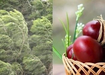 პროგნოზი შეიცვალა – როგორი ამინდია მოსალოდნელი აღდგომის დღესასწაულზე და ორშაბათს, საფლავზე გასვლის დღეს?