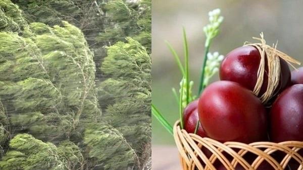 პროგნოზი შეიცვალა – როგორი ამინდია მოსალოდნელი აღდგომის დღესასწაულზე და ორშაბათს, საფლავზე გასვლის დღეს?