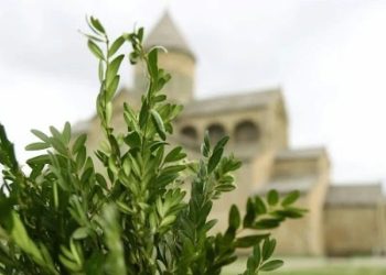 ლოცვა, რომელიც ბზობას უნდა წარმოთქვათ