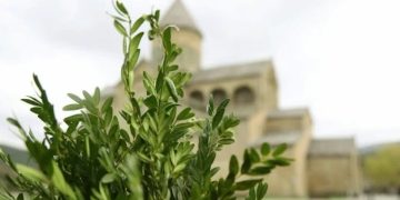 ლოცვა, რომელიც ბზობას უნდა წარმოთქვათ