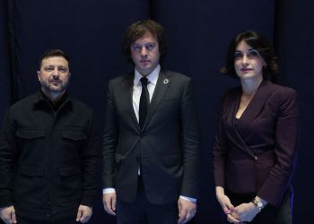 მაკა ბოჭორიშვილმა გაამჟღავნდა, რა უთხრა მათ ვოლოდიმირ ზელენსკიმ