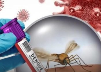 საქართველოში დენგე ვირუსის პირველი შემთხვევა დაფიქსირდა – როგორი სიმპტომები ახასიათებს დენგე ვირუსს