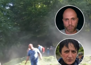 ვირუსულად გავრცელებულ ვიდეოში დაუჯერებელ რამე აღმოაჩინეს